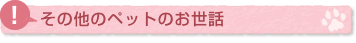 その他のペットのお世話